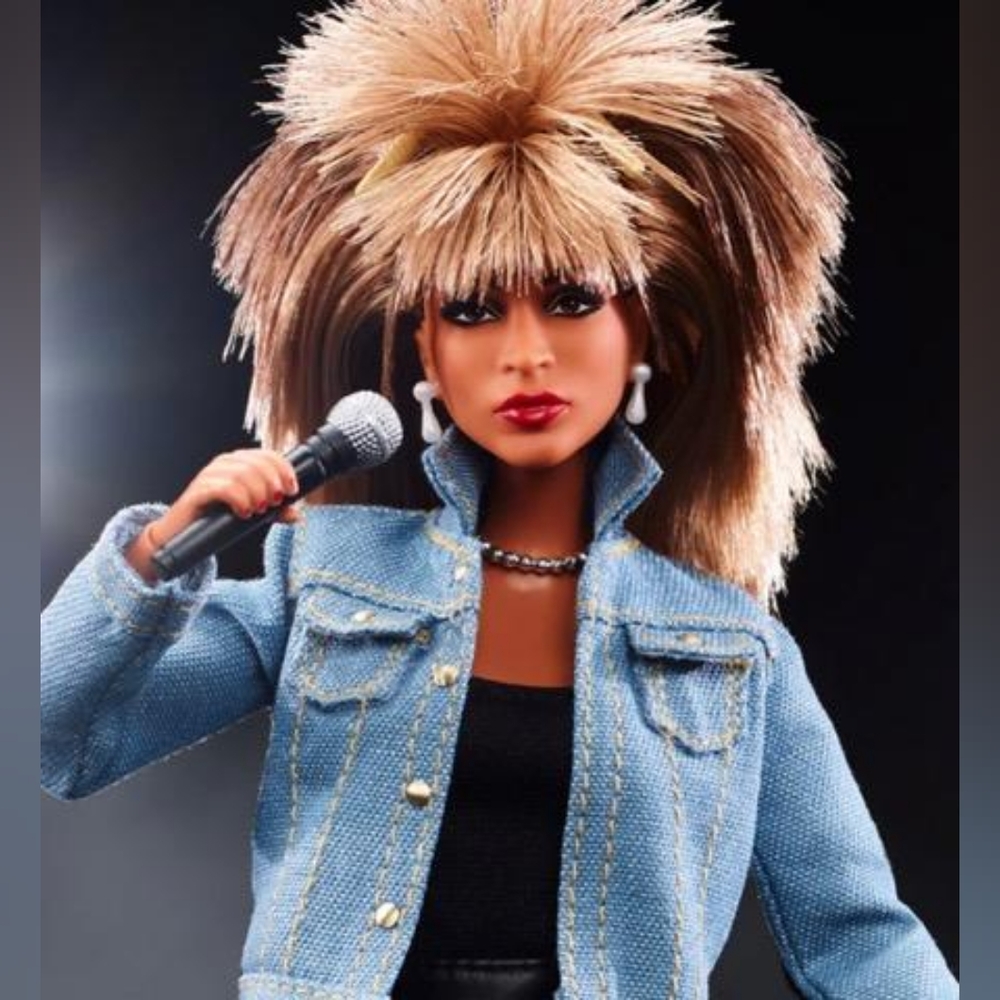 Barbie signature music series Tina Turner doll includes doll stand.